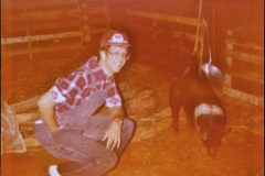 77-FarmPig