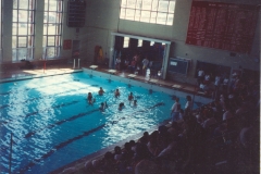 90s-Brotherhood-Pool