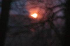 02-Pike-Fire-03