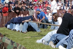 02-Pledge-Puddle-Pull-SigChi