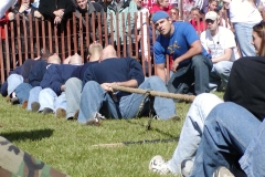 02-Pledge-Puddle-Pull-SigChi3