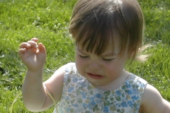03-Egg-Hunt-amys-girl