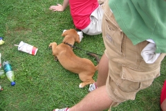 05-Greek-Week-Puddle-Pull-07