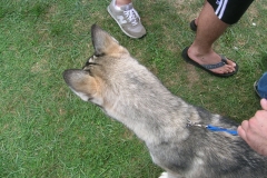 05-Greek-Week-Puddle-Pull-12