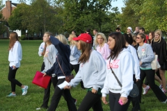 11-GW-CROP-Walk-15-Delta-Zeta