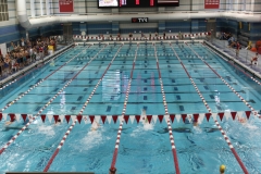 11-GW-Swimming-7