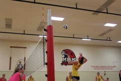 11-GW-Volleyball-46-Chi-Omega