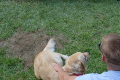 Q0718 Greek Week Puddle Pull